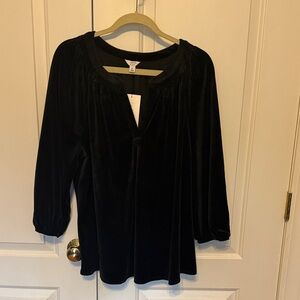 Crown & Ivy Black Velvet Blouse